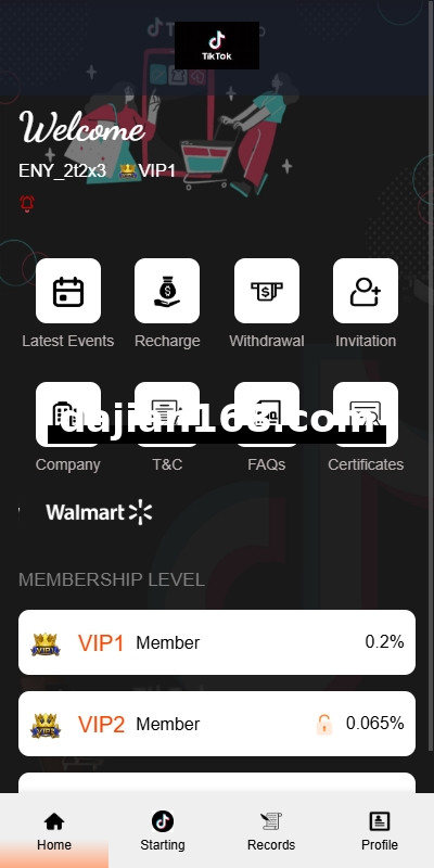Overseas TIKTOK Order Grabbing System / Order Chaining / Frontend Vue