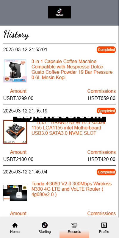 Overseas TIKTOK Order Grabbing System / Order Chaining / Frontend Vue