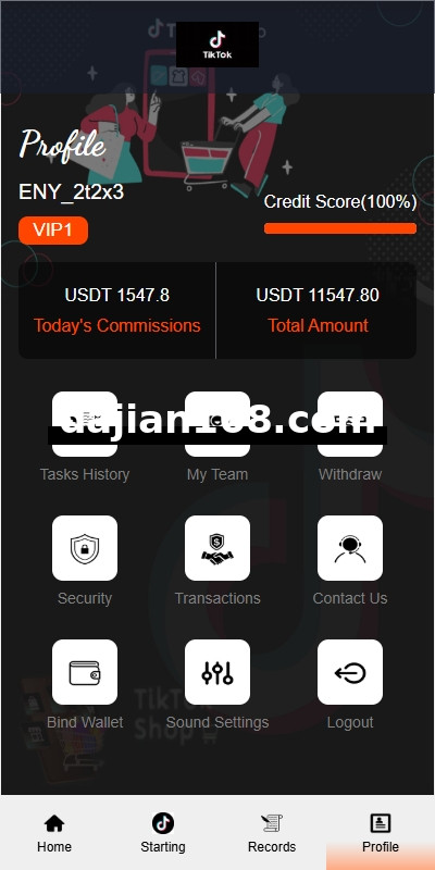 Overseas TIKTOK Order Grabbing System / Order Chaining / Frontend Vue