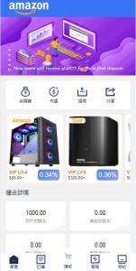 🖼 全新多语言海外抢单系统/抢单刷单源码/订单自动匹配系统/前端uinapp